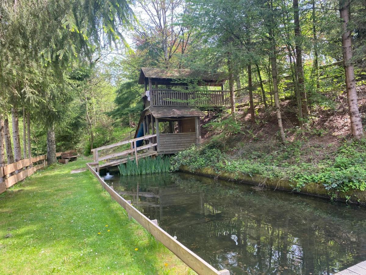 Hotel-Restaurant Theis-Muehle Biersdorf Eksteriør billede